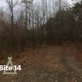 Review photo of Deep Water Trail Camp by Camp With Me , February 4, 2026