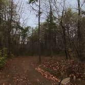 Review photo of Deep Water Trail Camp by Camp With Me , February 4, 2026