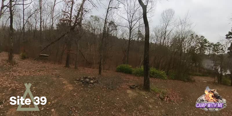 Camper submitted image from Deep Water Trailt Horse Camp