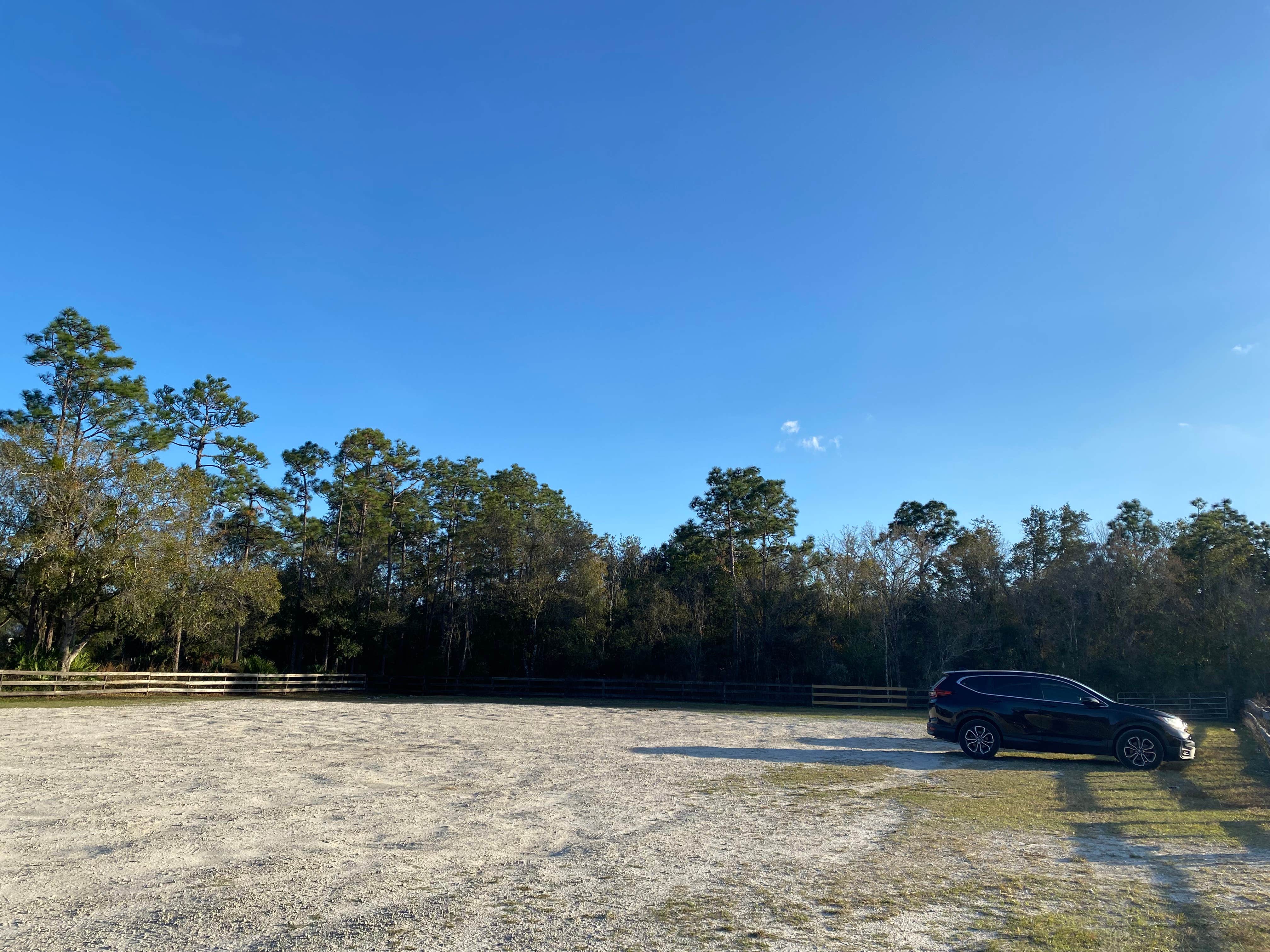 Camper-submitted photo at Hal Scott Preserve County Park near Titusville, FL