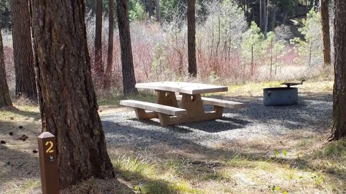 Camping near Deerhorn Forest Camp: Middle Fork, Prairie City, Oregon