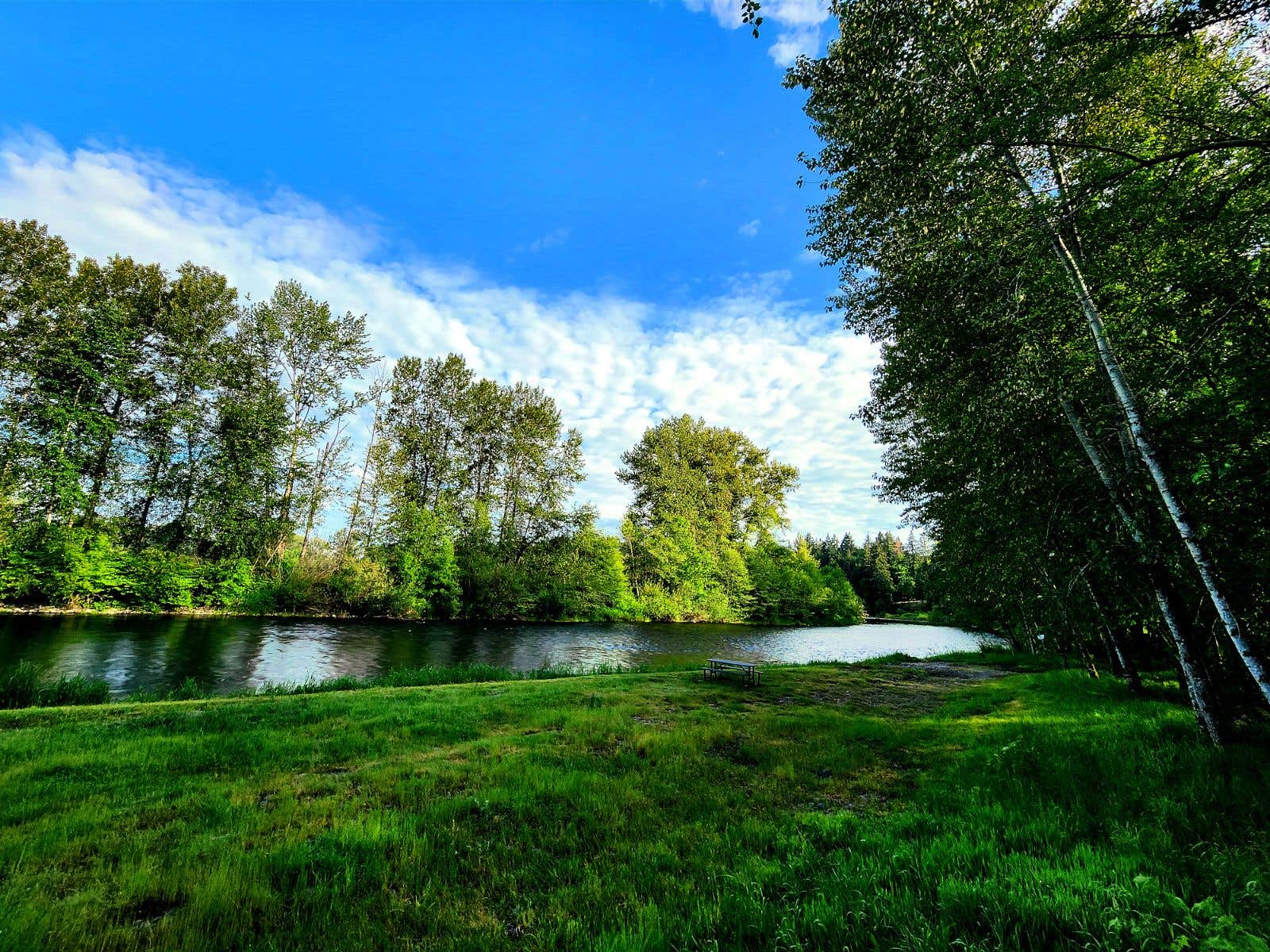 Camper-submitted photo at Molalla Ripple near Molalla, OR