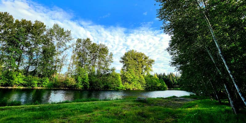 Camper submitted image from Molalla Ripple