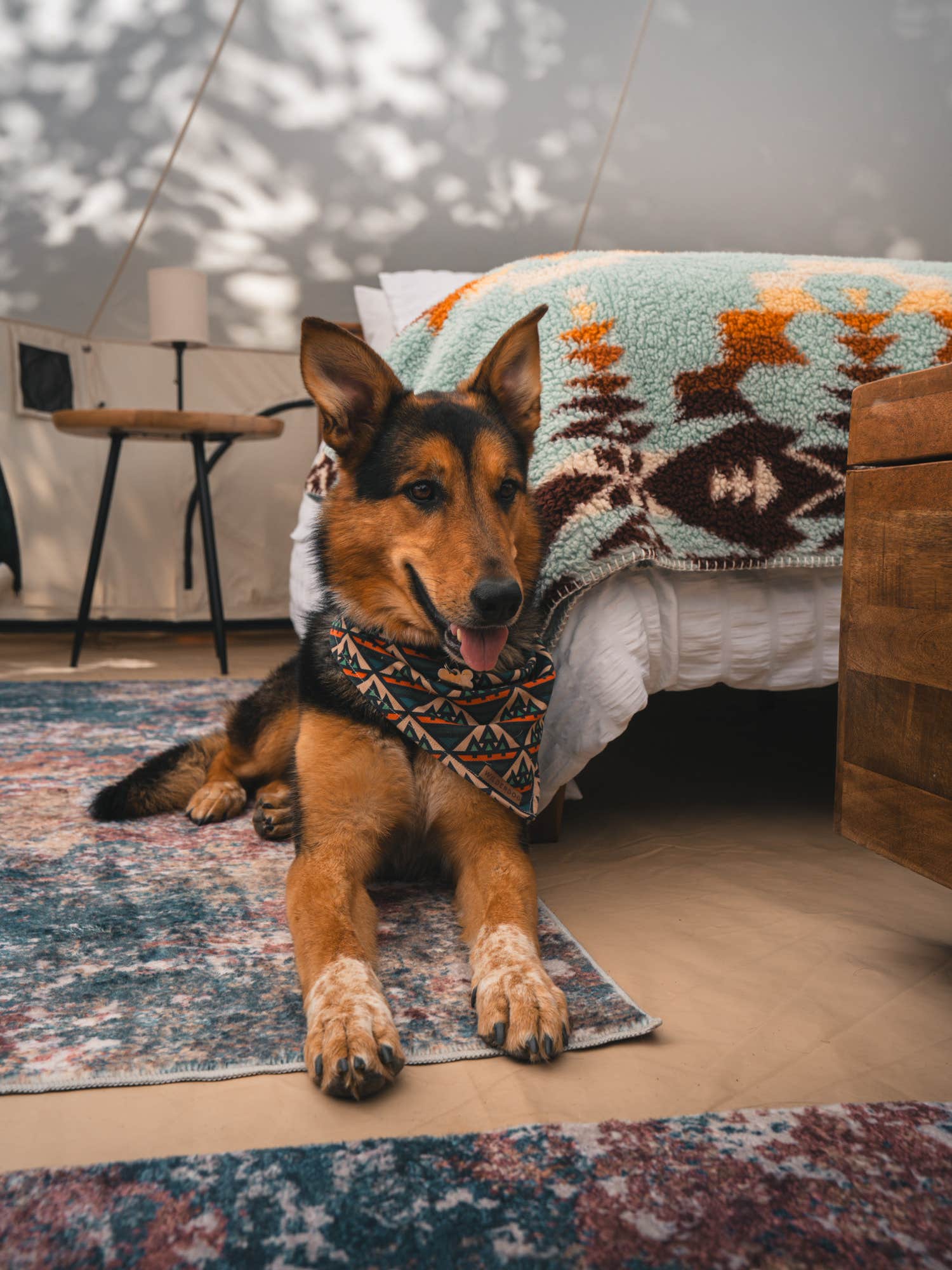 The Dyrt's photo of camping with pets at Columbia Gorge Getaways near Hood River, OR