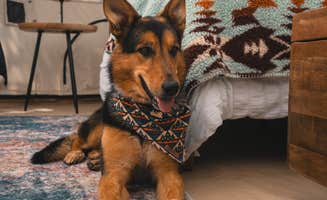 The Dyrt's photo of camping with pets at Columbia Gorge Getaways near Underwood, WA