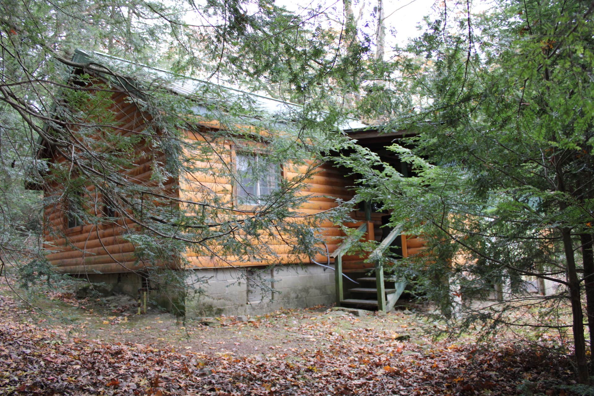 The Dyrt's photo of a cabin at Hominy Ridge Cabins and Gift Shop near Cooksburg, PA