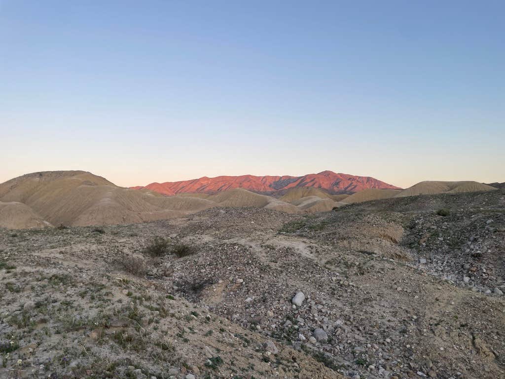 Camper-submitted photo at Fish Creek Wash Primitive Campsite near Borrego Springs, CA
