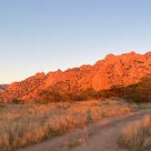 Review photo of Dragoon Mountains by Alexandra D., February 9, 2026