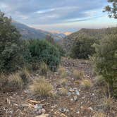 Review photo of Pinery Canyon Road by Alexandra D., February 9, 2026