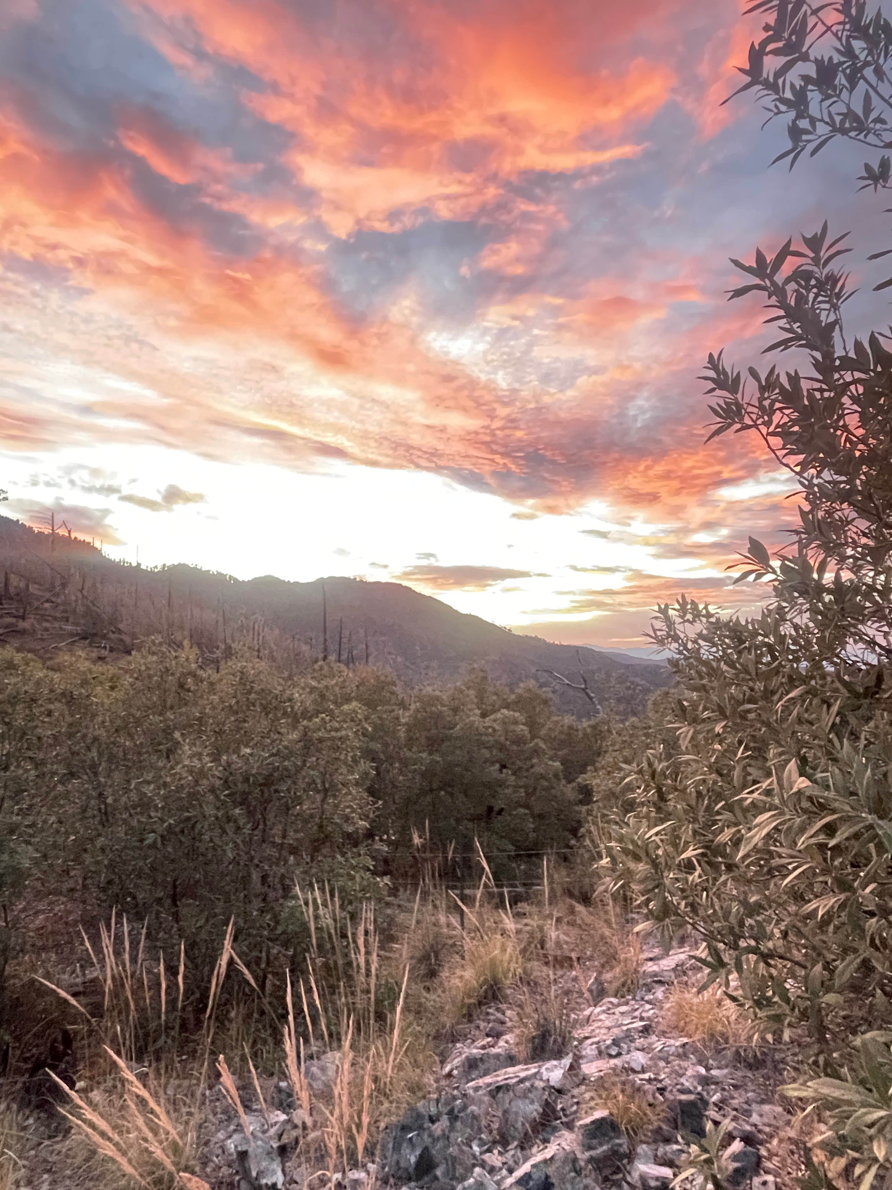 Camping near Peaks Valley Preserve: Pinery Canyon Road, Portal, Arizona