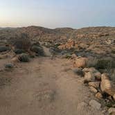 Review photo of Cottonwood Campground — Joshua Tree National Park by Alexandra D., February 9, 2026