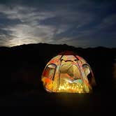 Review photo of Cottonwood Campground — Joshua Tree National Park by Alexandra D., February 9, 2026