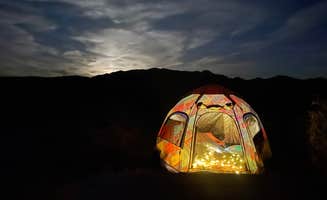 Alexandra D.'s photo at Cottonwood Campground — Joshua Tree National Park near Joshua Tree National Park