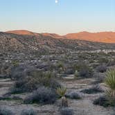Review photo of Cottonwood Campground — Joshua Tree National Park by Alexandra D., February 9, 2026
