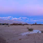 Review photo of Furnace Creek Campground — Death Valley National Park by Alexandra D., February 9, 2026