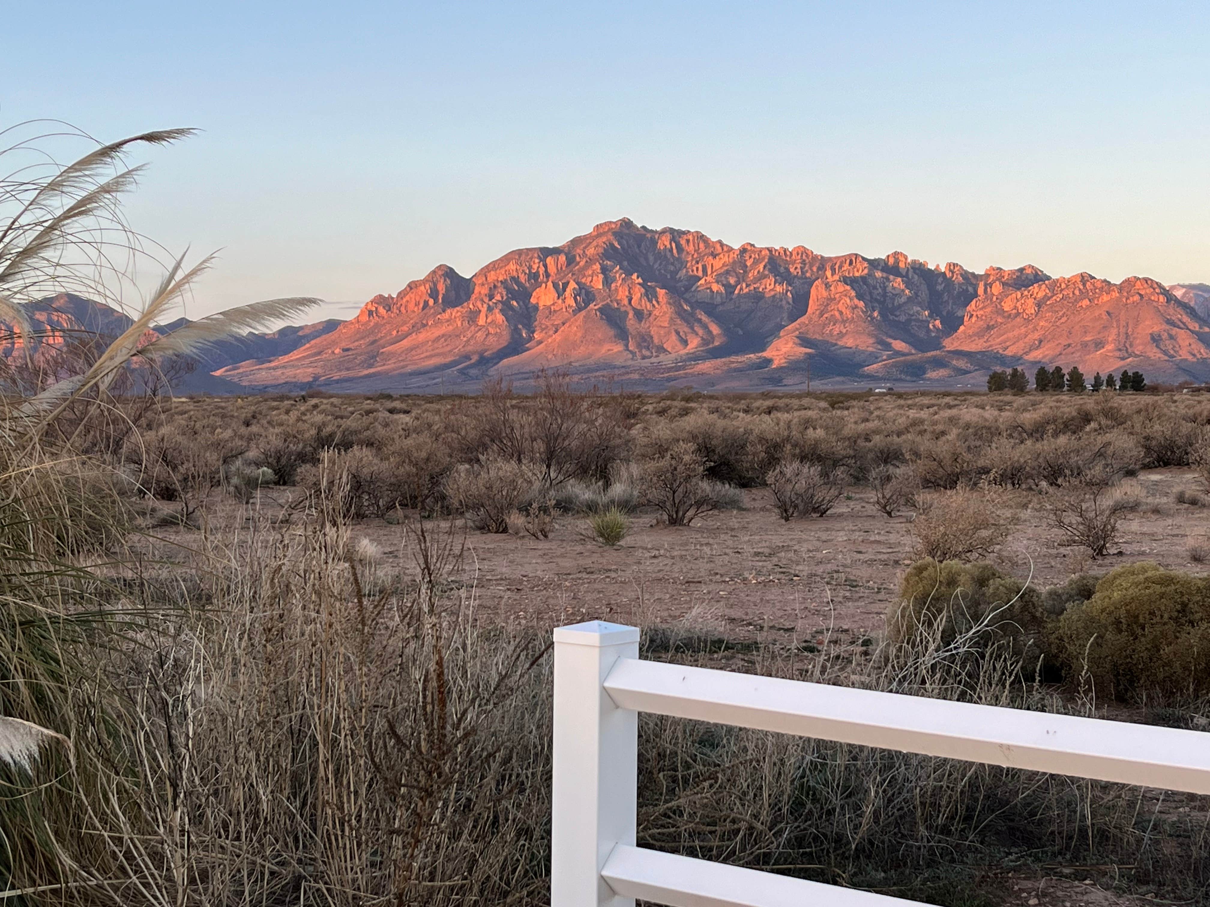 Camper submitted image from Caballos de las Estrellas - 2