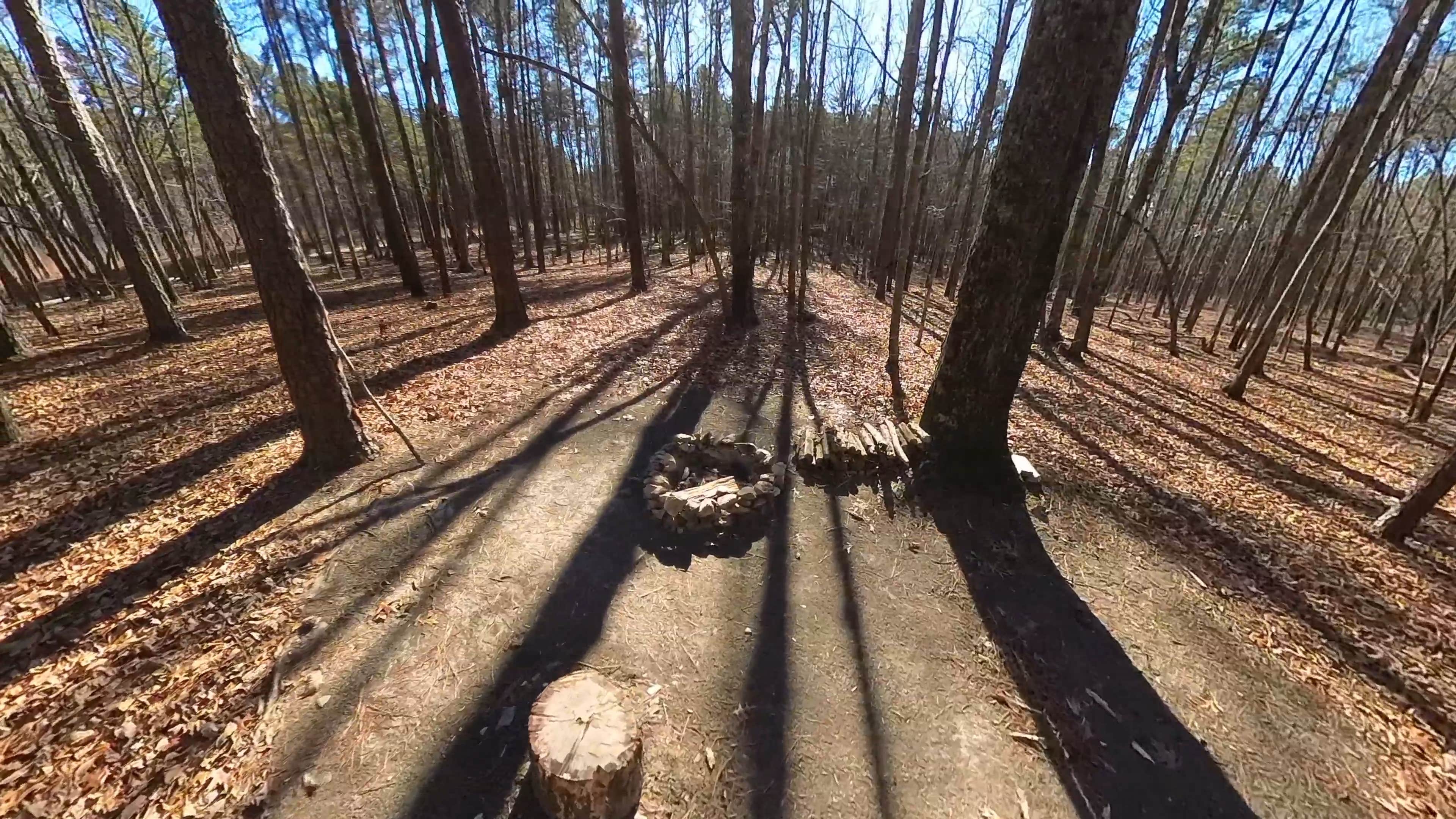 Camper-submitted photo at East Morris Mountain near Kernersville, NC