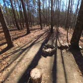 Review photo of East Morris Mountain by Camp With Me , February 11, 2026