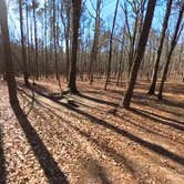 Review photo of East Morris Mountain by Camp With Me , February 11, 2026