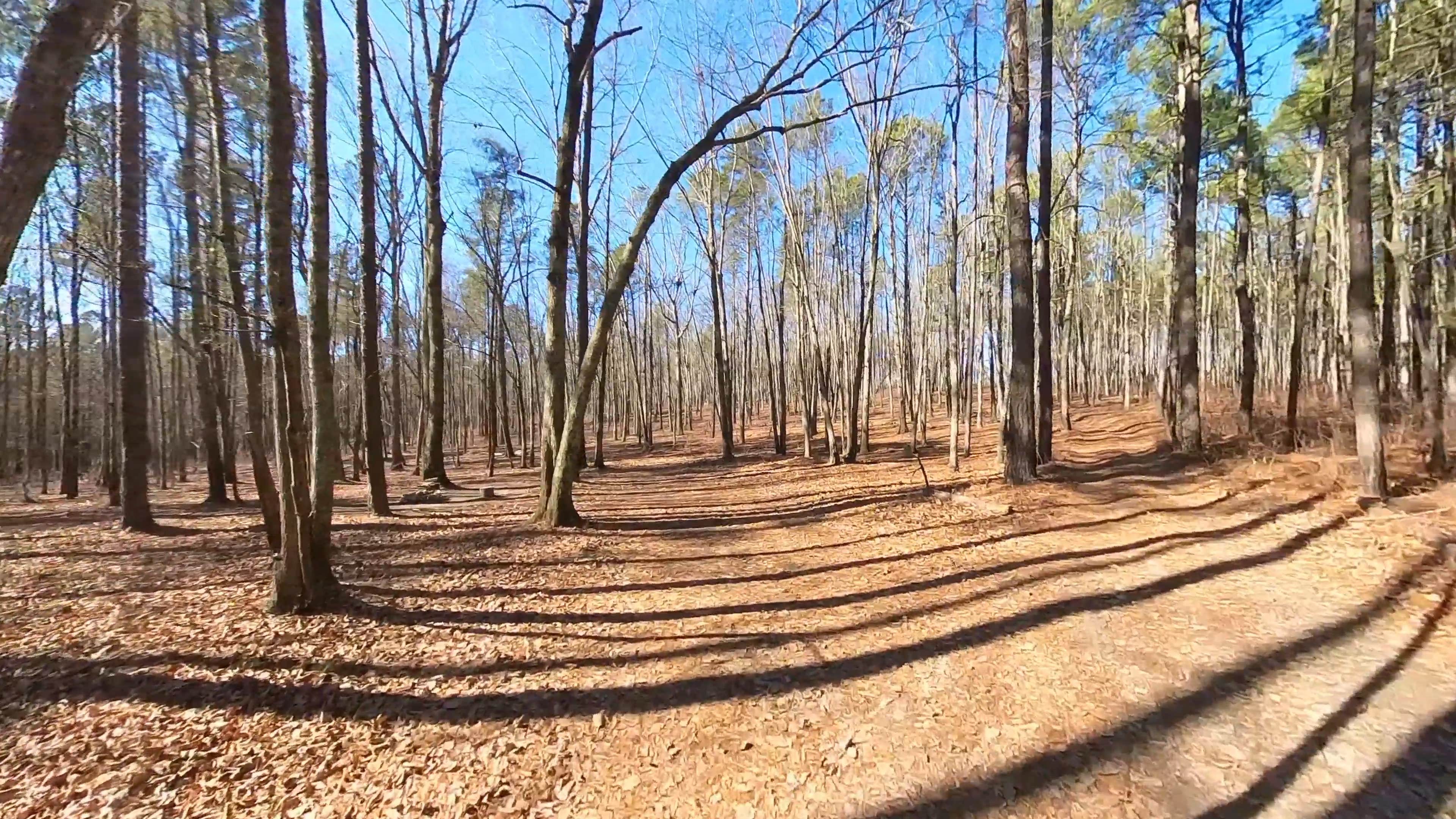 Camper-submitted photo at East Morris Mountain near Kernersville, NC