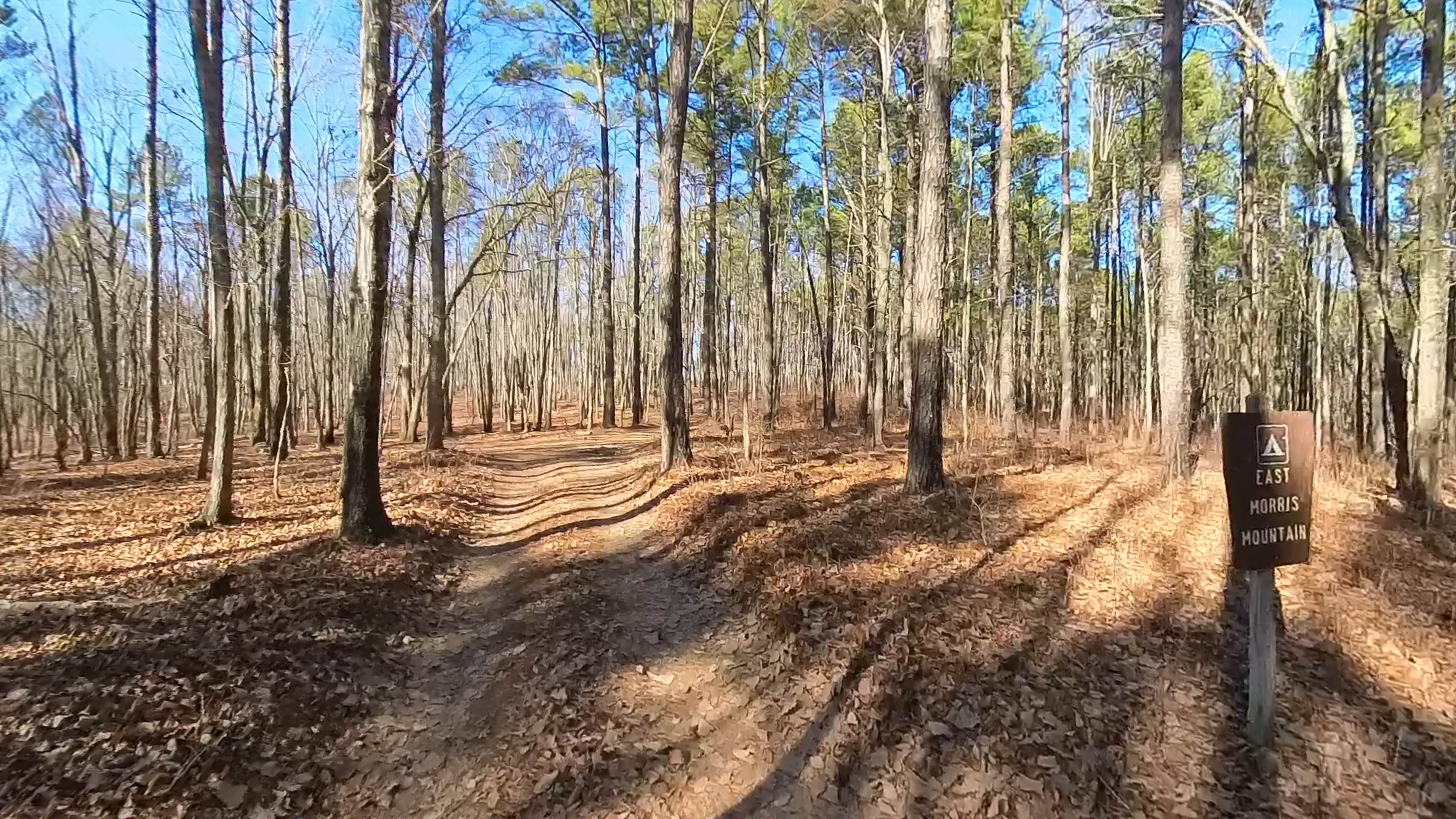 Camper-submitted photo at East Morris Mountain near Kernersville, NC