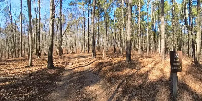 Camper submitted image from East Morris Mountain