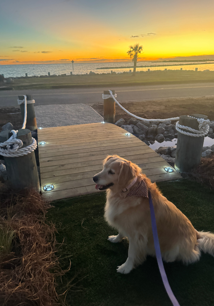 Paul S.'s photo of camping with pets at Dockside RV Resort near Mobile, AL