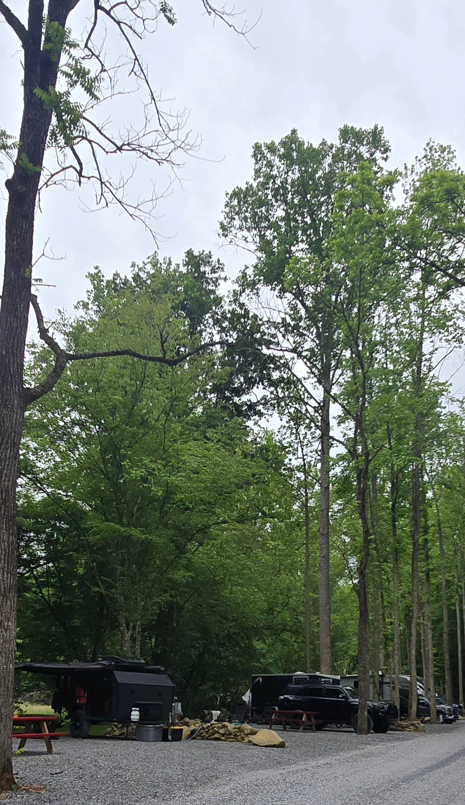 Camper-submitted photo at Smokey Mountain Hidden Stills RV Campground near Lake Junaluska, NC