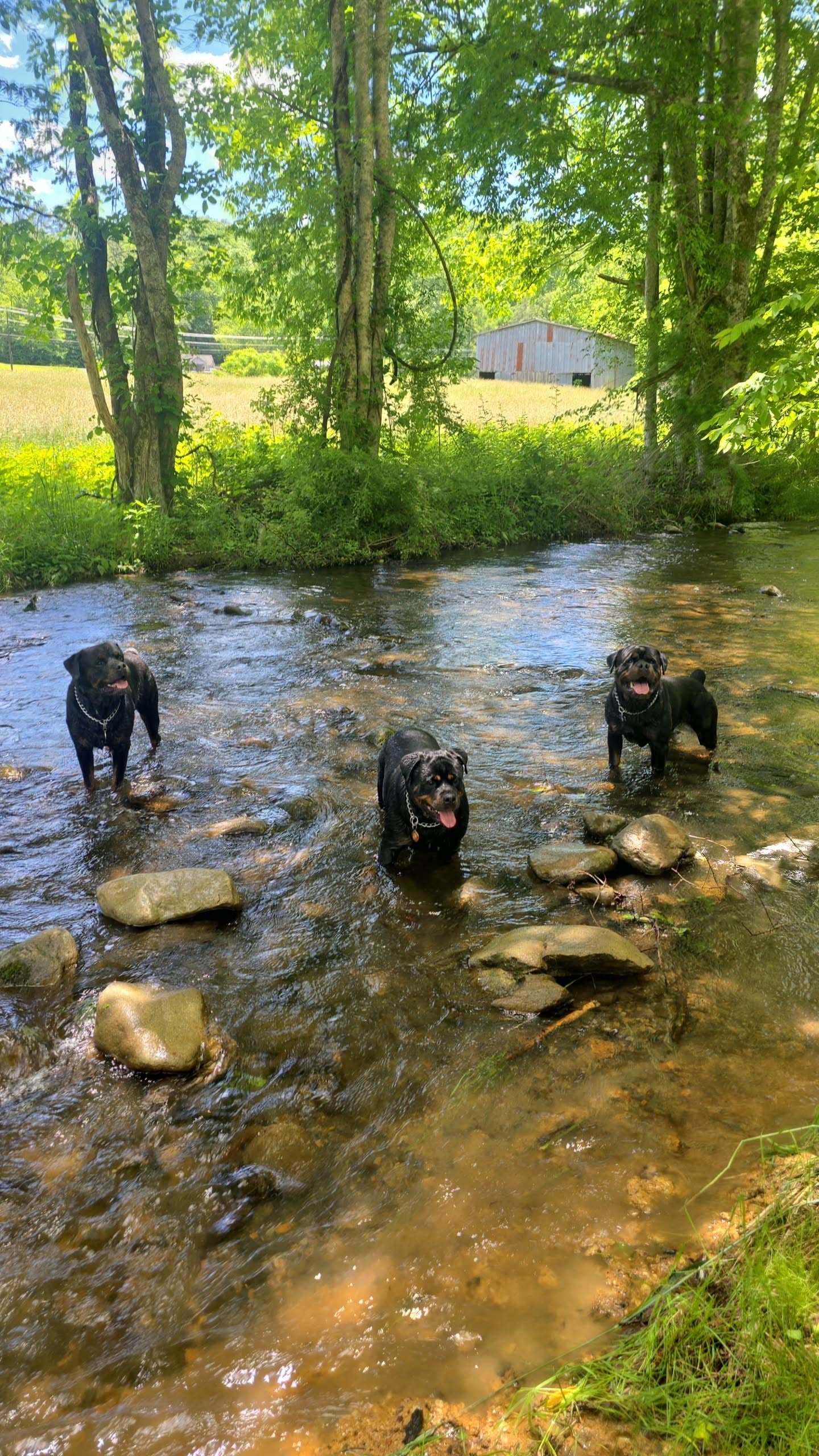 Camper-submitted photo at Smokey Mountain Hidden Stills RV Campground near Lake Junaluska, NC
