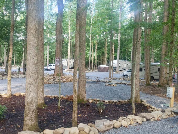 Angela G.'s photo at Smokey Mountain Hidden Stills RV Campground near Hartford, TN