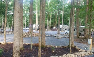 Angela G.'s photo at Smokey Mountain Hidden Stills RV Campground near Hartford, TN