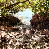 Review photo of Fort De Soto Campground by Mike M., February 13, 2026