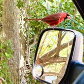 Review photo of Fort De Soto Campground by Mike M., February 13, 2026