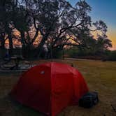 Review photo of Goose Island State Park Campground by Bobbie B., February 14, 2026