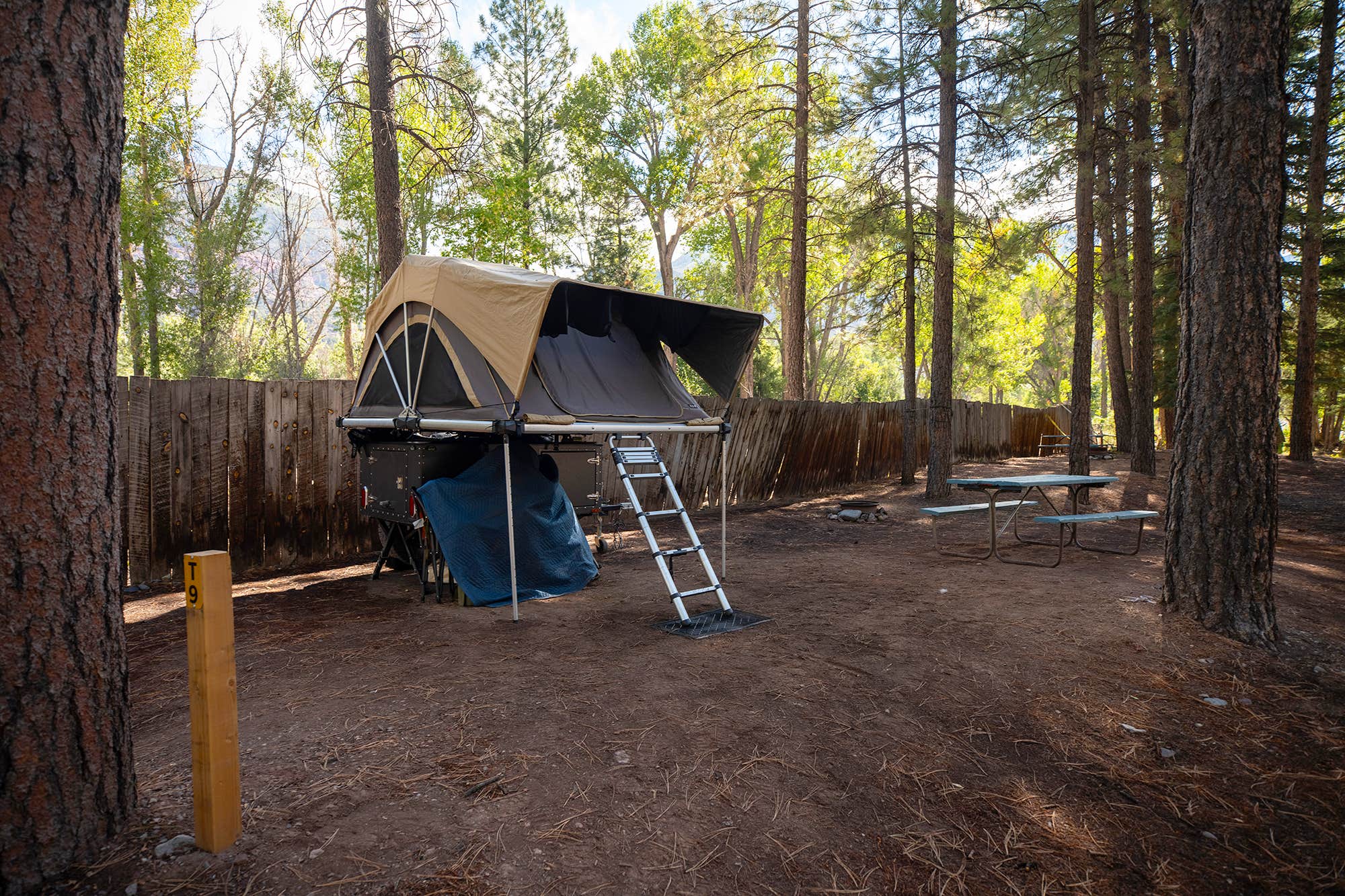 Camper-submitted photo at Ouray KOA near Placerville, CO