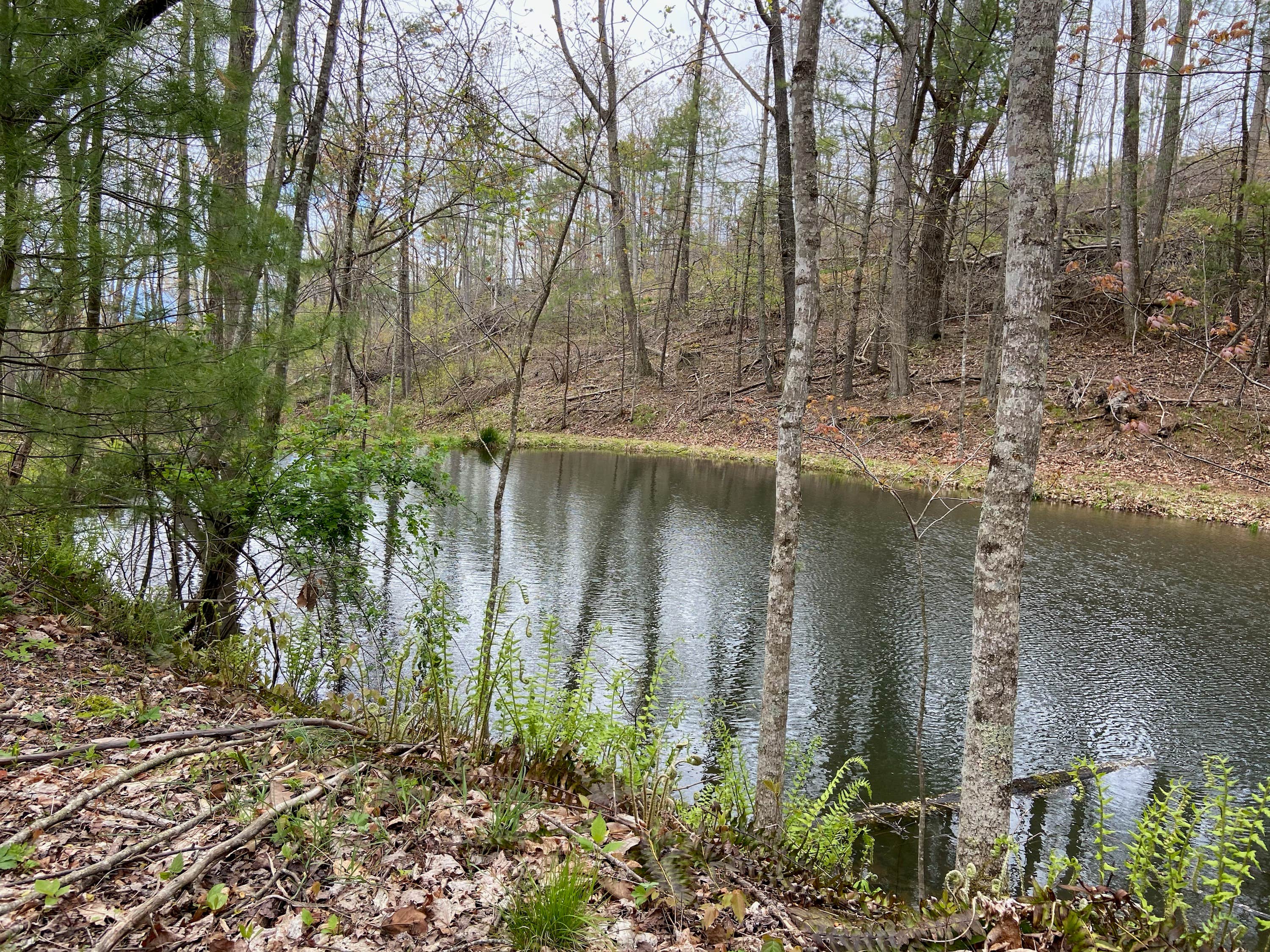 Camper-submitted photo at Camp S'mores near Roanoke, VA