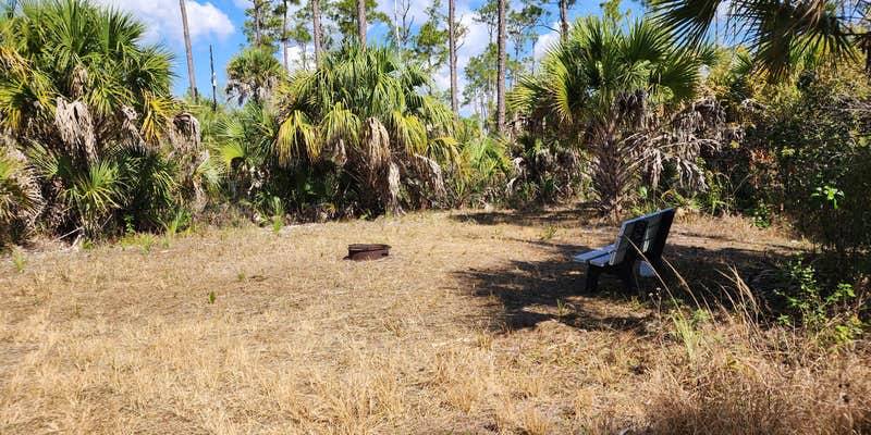 Camper submitted image from CCC Primitive Campground