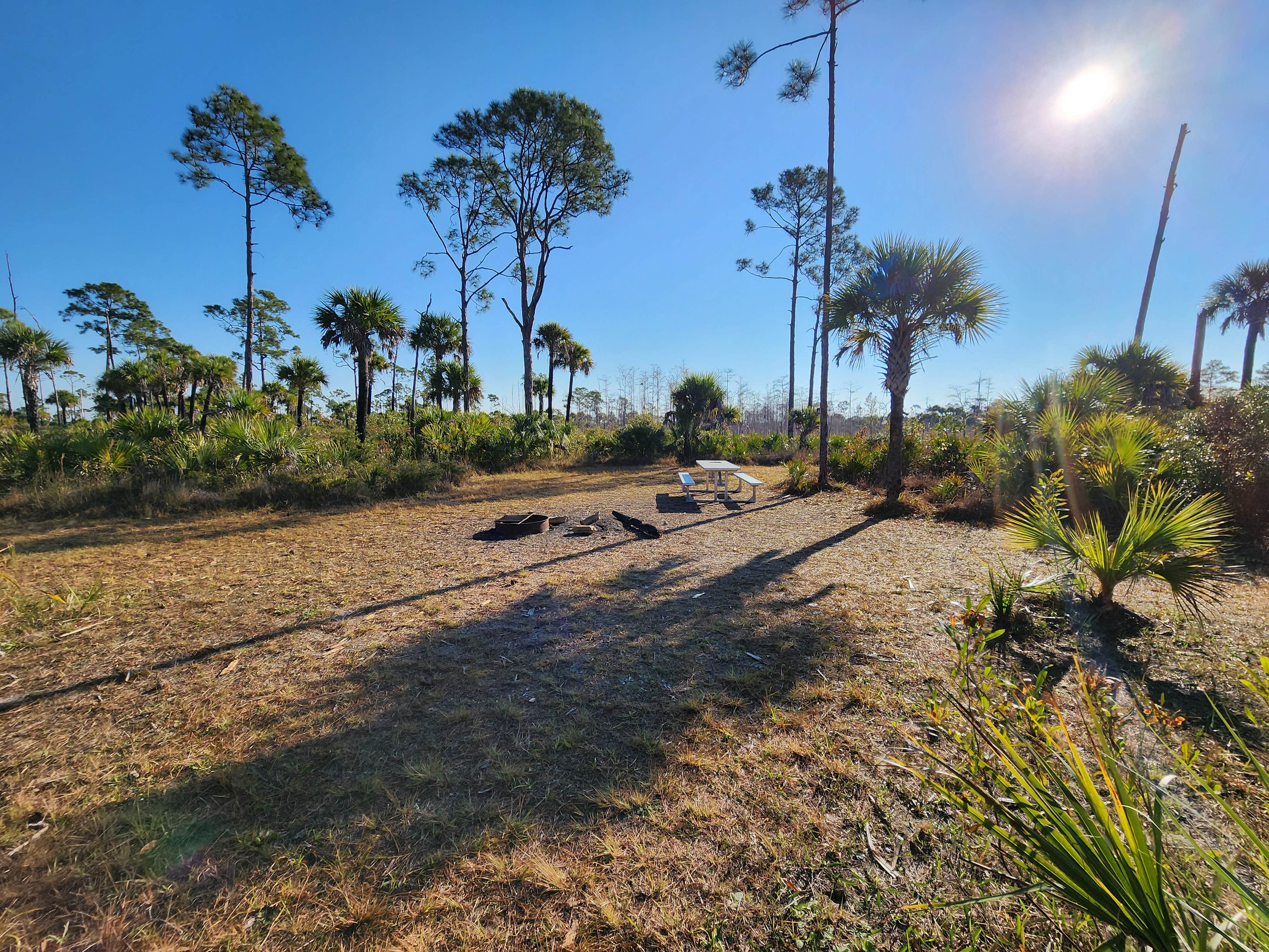 Camper-submitted photo at Carpenter Primitive Camp — Big Cypress National Preserve near Immokalee, FL