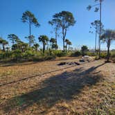 Review photo of Carpenter Primitive Camp — Big Cypress National Preserve by J R., February 17, 2026