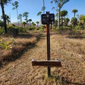 Review photo of Carpenter Primitive Camp — Big Cypress National Preserve by J R., February 17, 2026