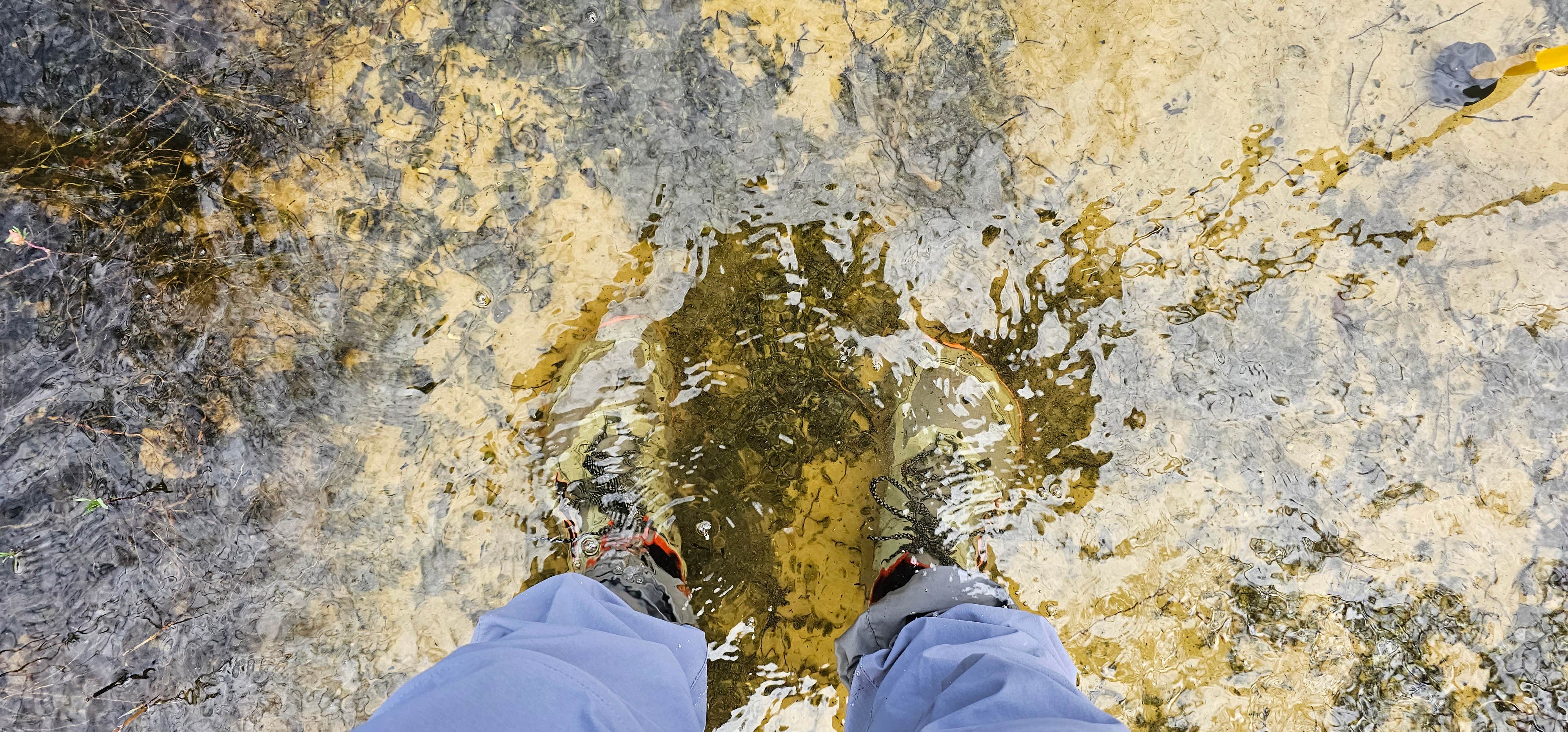 Camper-submitted photo at Carpenter Primitive Camp — Big Cypress National Preserve near Immokalee, FL