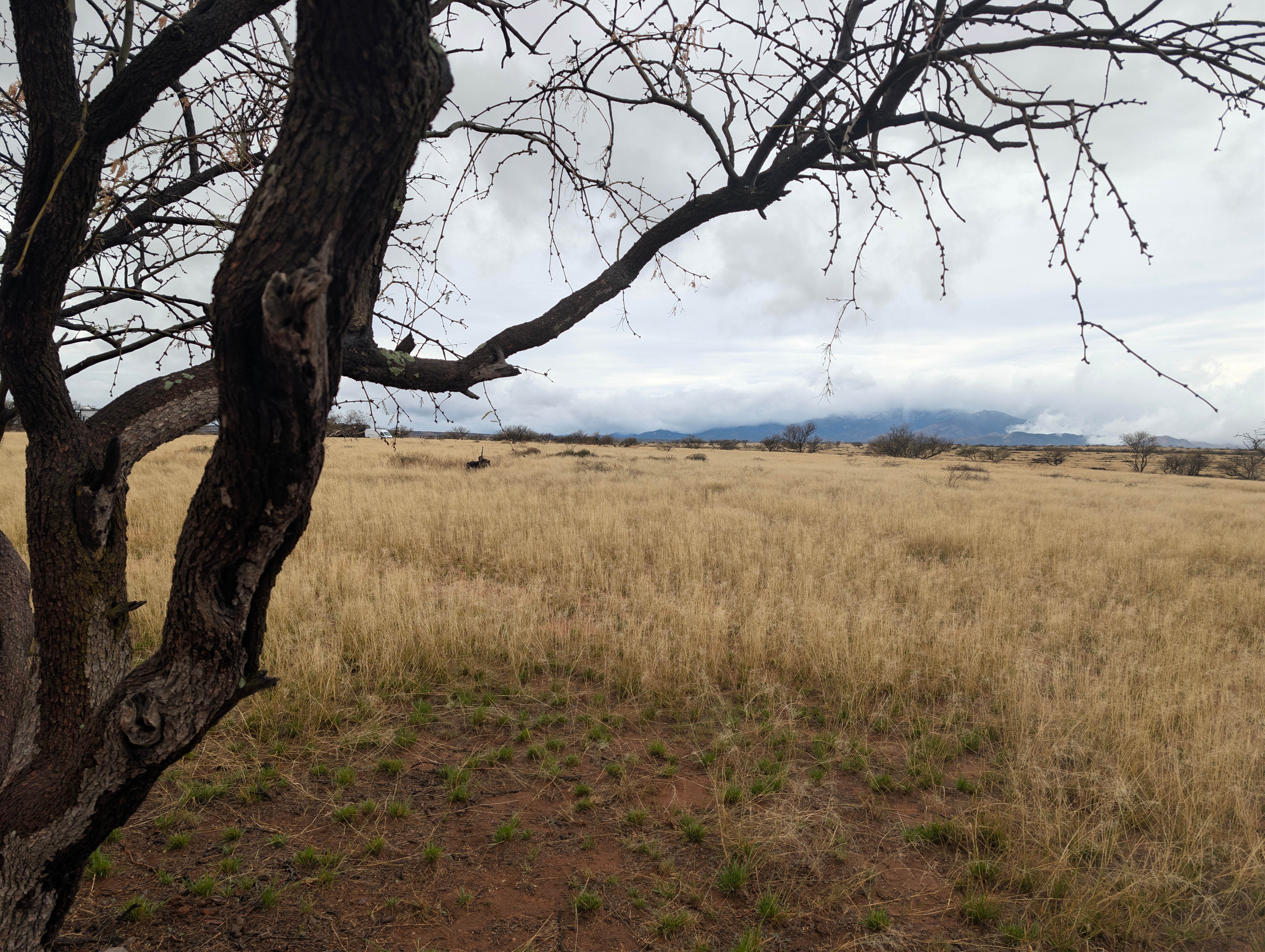 Camper-submitted photo at Cieneguita Dispersed Camping Area - Las Cienegas National Conservation Area near Coronado National Forest