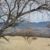 Review photo of Cieneguita Dispersed Camping Area - Las Cienegas National Conservation Area by Ardel F., February 18, 2026