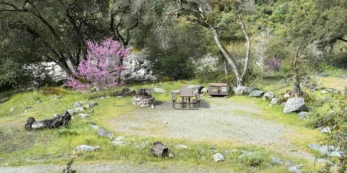 Camper submitted image from McCabe Flat Campground