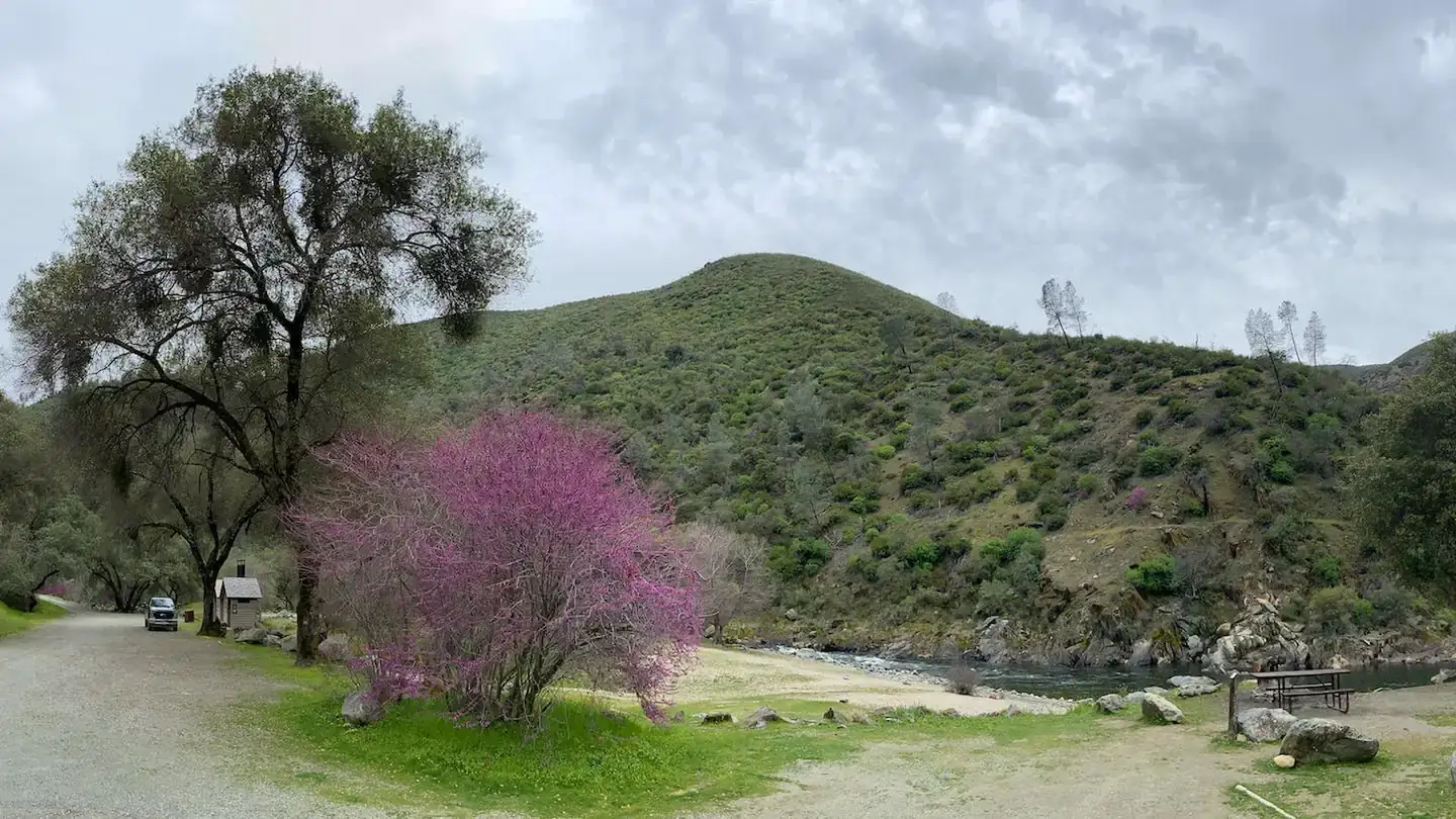 Camper-submitted photo at McCabe Flat Campground near Mariposa, CA