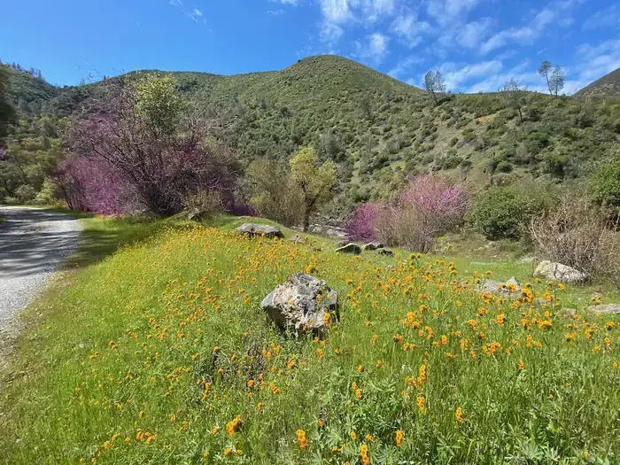 Camper-submitted photo at McCabe Flat Campground near Mariposa, CA