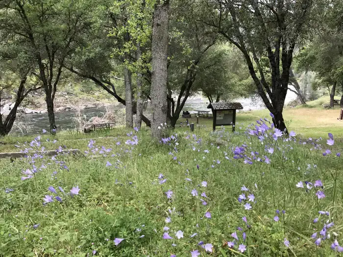 Willow Placer Campground