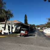 Review photo of Caladesi RV Park by Amanda R., February 18, 2026