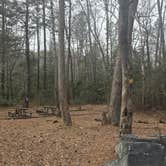 Review photo of Brown Mountain Roadside Campsites by Camp With Me , February 18, 2026