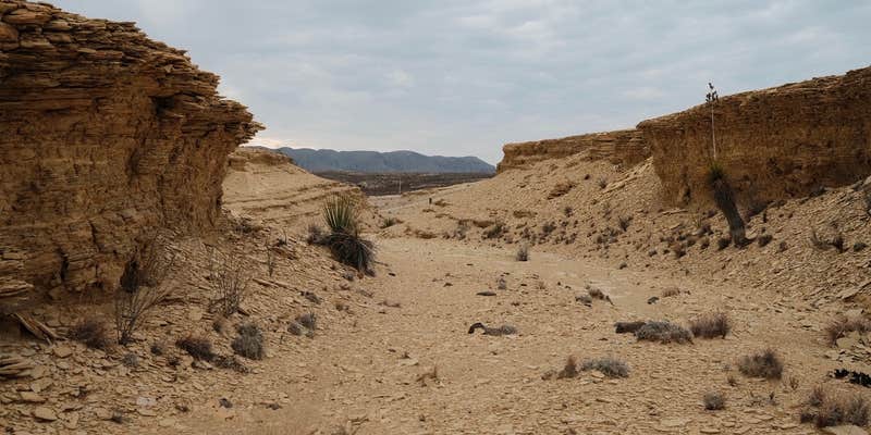 Camper submitted image from Moonwalker Ranch Desert Outpost